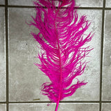 ostrich blondine feather x-large pink peacock