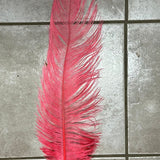 ostrich blondine feather x-large vibrant coral