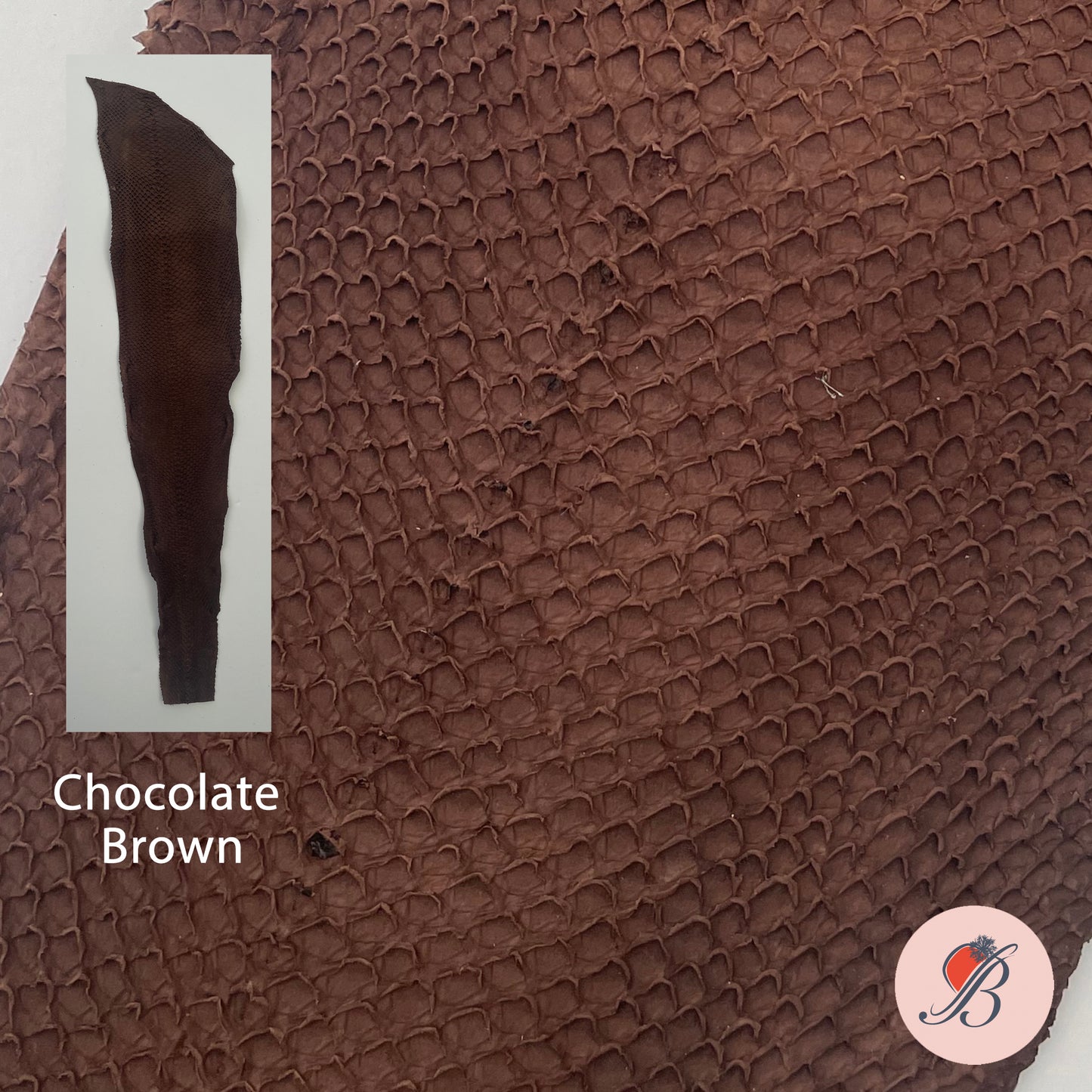 Salmon Fish Leather Piece - UK