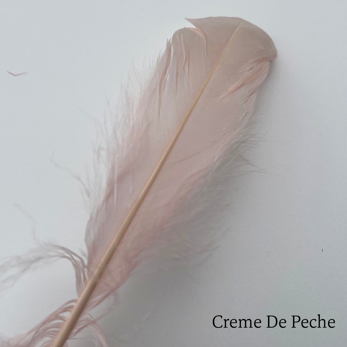Goose Nagoire Feathers (loose) - UK