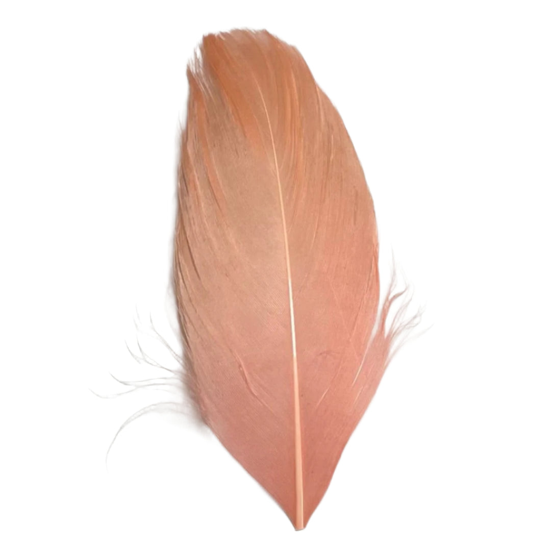 Goose Nagoire Feather Tips - Pink Peach
