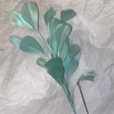 Feather Branch mint