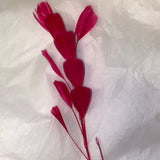 Feather Branch chilli pepper