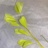Feather Branch neon