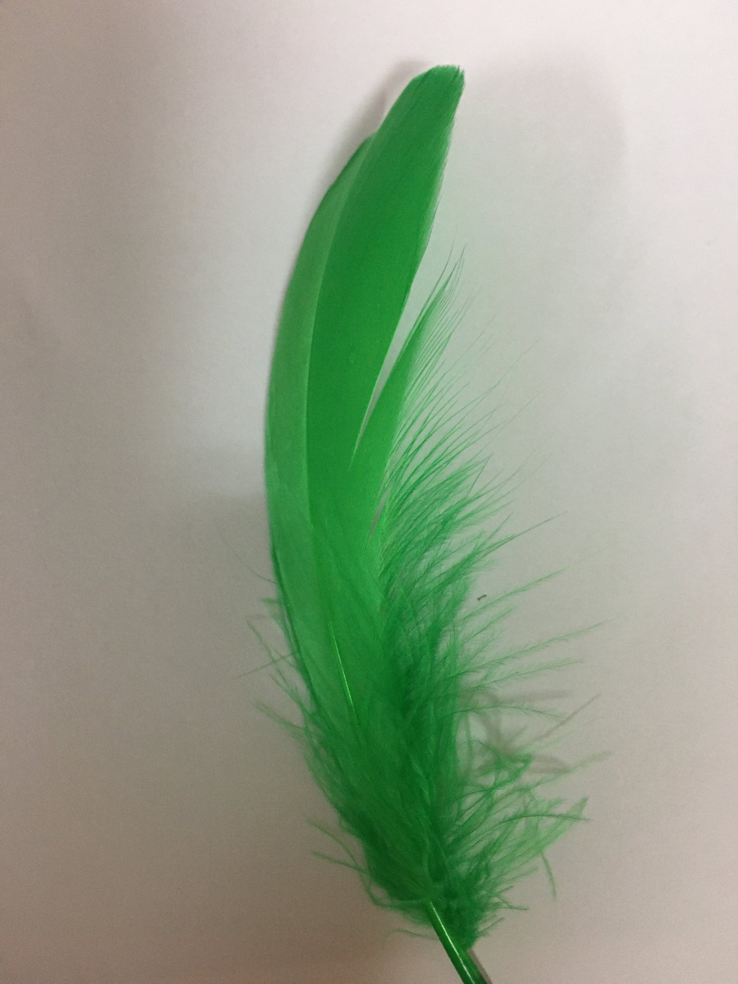 Goose Nagoire Feathers (loose) - AU