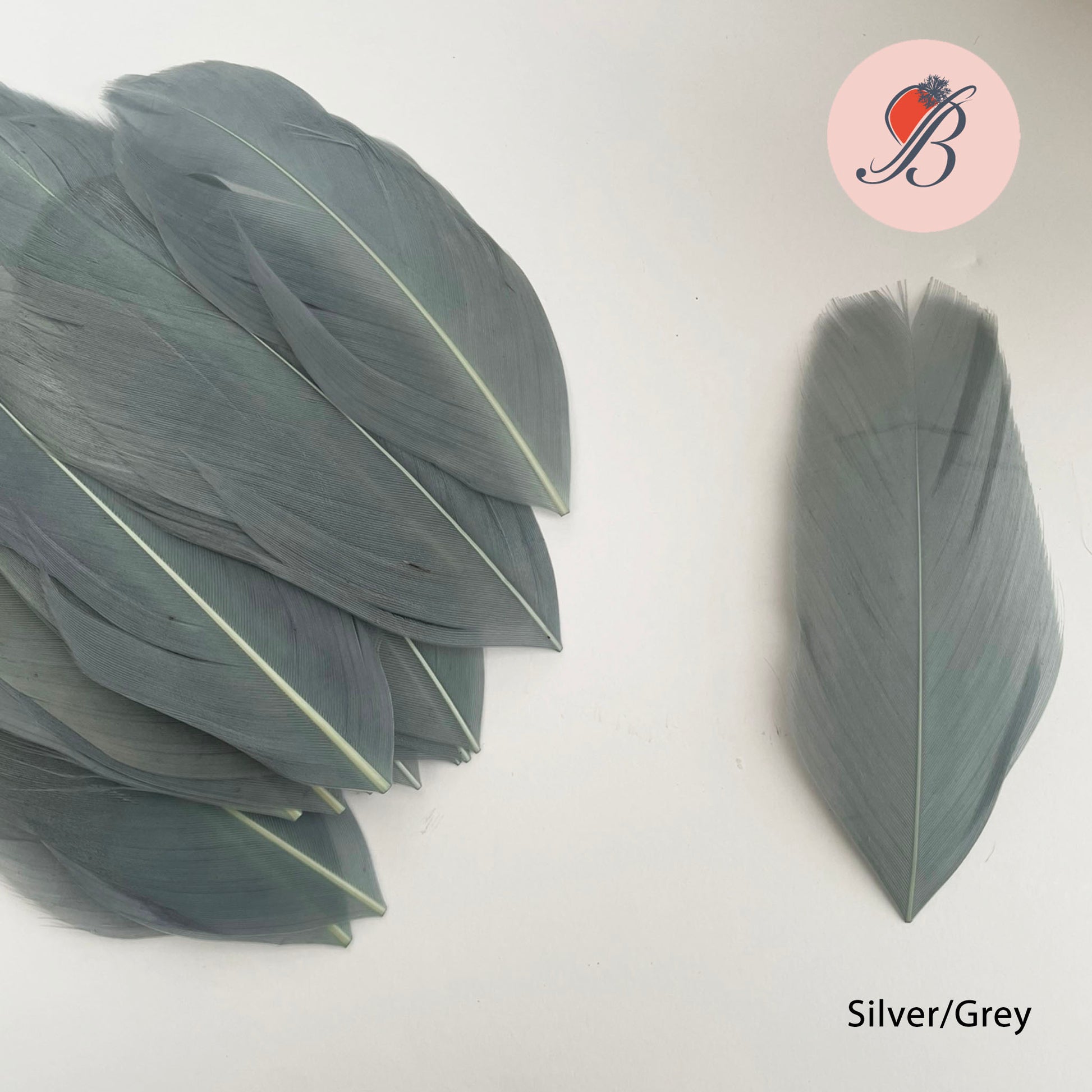 silver grey goose nagoire feather tip