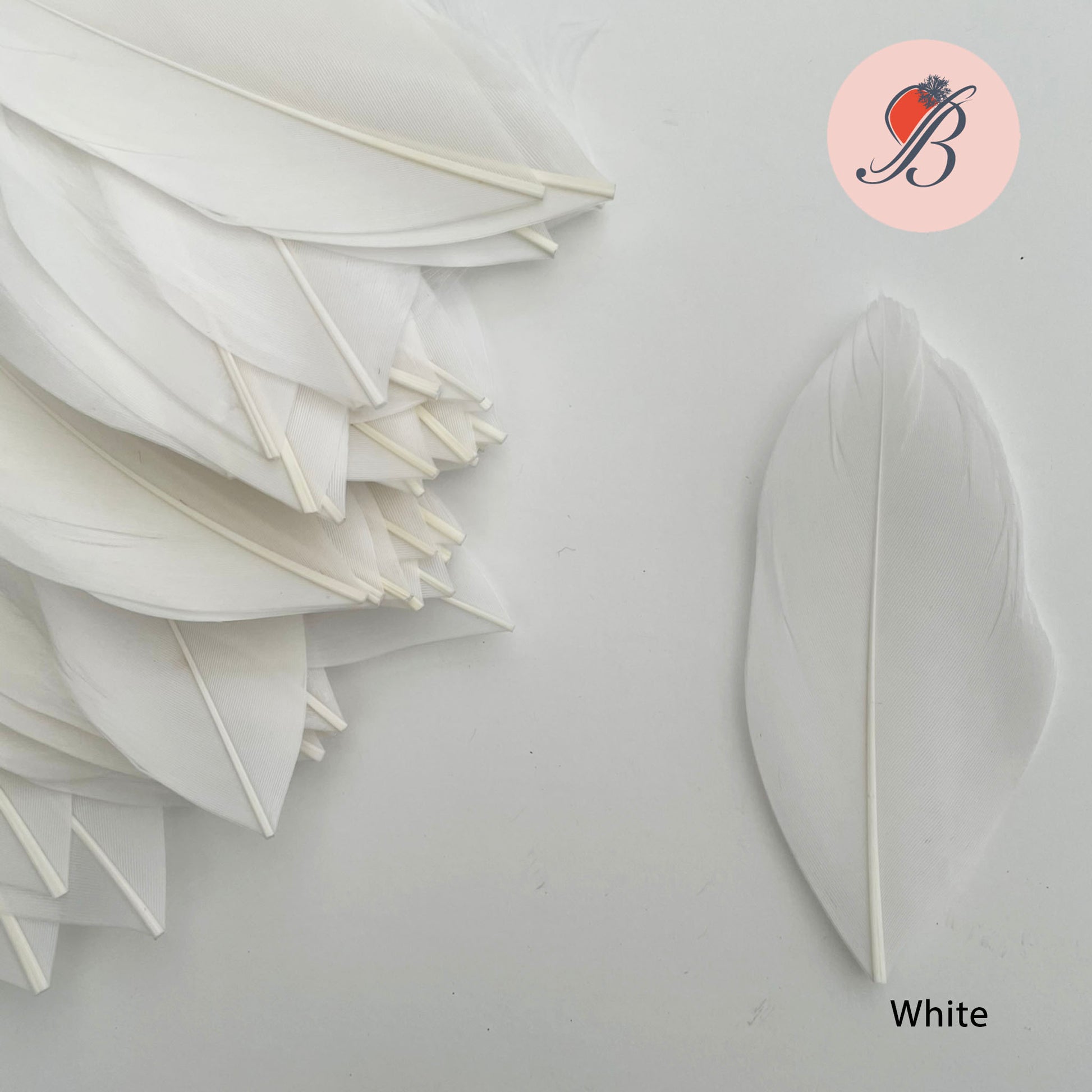 white goose nagoire feather tip