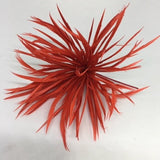 fieta red Biot Feather Star Flower on Wire