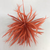 living coral Biot Feather Star Flower on Wire