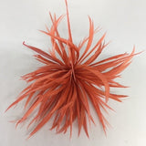 Biot Feather Star Flower on Wire - US - B Unique Millinery