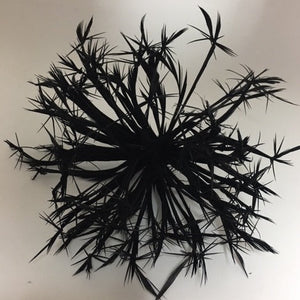 Biot Feather Starburst on Wire - US