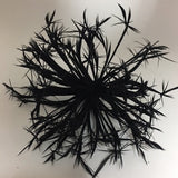 black Biot Feather Star Flower on Wire