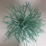 Biot Feather Starburst on Wire - US - B Unique Millinery