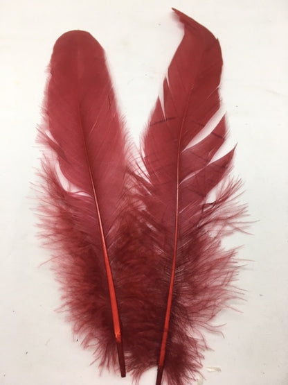 Coque Tail Feathers (untrimmed) - AU - B Unique Millinery