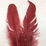 Coque Tail Feathers (untrimmed) chilli pepper