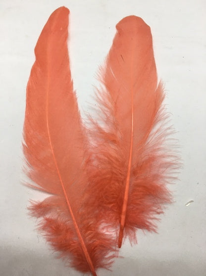 Coque Tail Feathers (untrimmed) - AU - B Unique Millinery