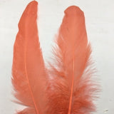 Coque Tail Feathers (untrimmed) coral