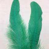 Coque Tail Feathers (untrimmed) jade