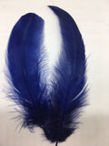 Coque Tail Feathers (untrimmed) - Lon - B Unique Millinery