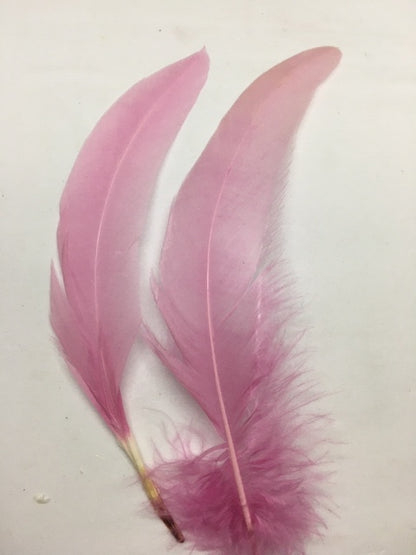 Coque Tail Feathers (untrimmed) - AU - B Unique Millinery