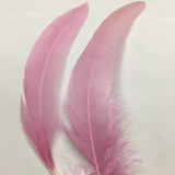 Coque Tail Feathers (untrimmed) pink