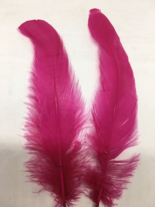Coque Tail Feathers (untrimmed) - AU - B Unique Millinery