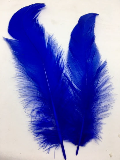 Coque Tail Feathers (untrimmed) - AU - B Unique Millinery