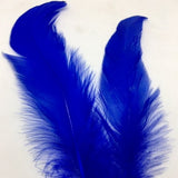 Coque Tail Feathers (untrimmed) royal blue