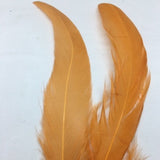 Coque Tail Feathers (untrimmed) turmeric