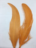 Coque Tail Feathers (untrimmed) - AU - B Unique Millinery
