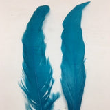 Coque Tail Feathers (untrimmed) turquoise