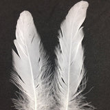 Coque Tail Feathers (untrimmed) white