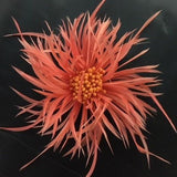 Biot (F1837) Feather Flower - US - B Unique Millinery