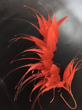 Spikey Feather Mounts (F201501) - US - B Unique Millinery