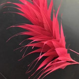 Spikey Feather Mounts (F201501) pink peacock