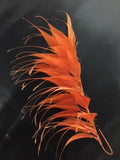 Spikey Feather Mounts (F201501) - US - B Unique Millinery