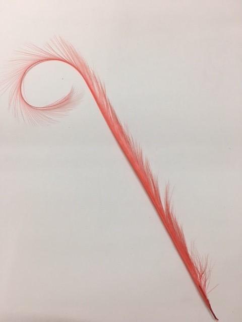 Curly Burnt Pheasant Feathers - AU - B Unique Millinery
