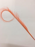 Curly Burnt Pheasant Feathers - AU - B Unique Millinery