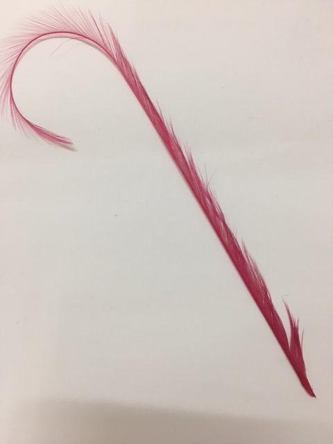 Curly Burnt Pheasant Feathers - AU - B Unique Millinery