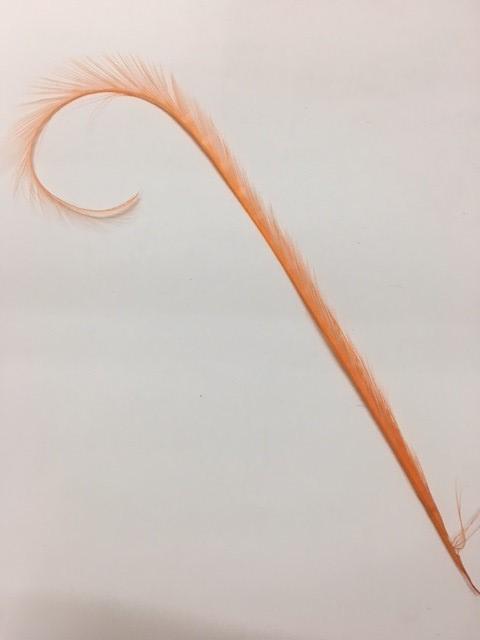 Curly Burnt Pheasant Feathers - AU - B Unique Millinery