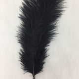 Ostrich Blondine Feather Small black
