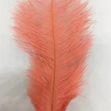 Ostrich Blondine Feather Small coral