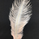 Ostrich Blondine Feather Small - US - B Unique Millinery