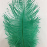 Ostrich Blondine Feather Small jade