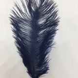Ostrich Blondine Feather Small navy