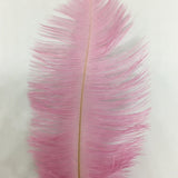 Ostrich Blondine Feather Small pink