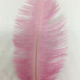 Ostrich Blondine Feather Small pink