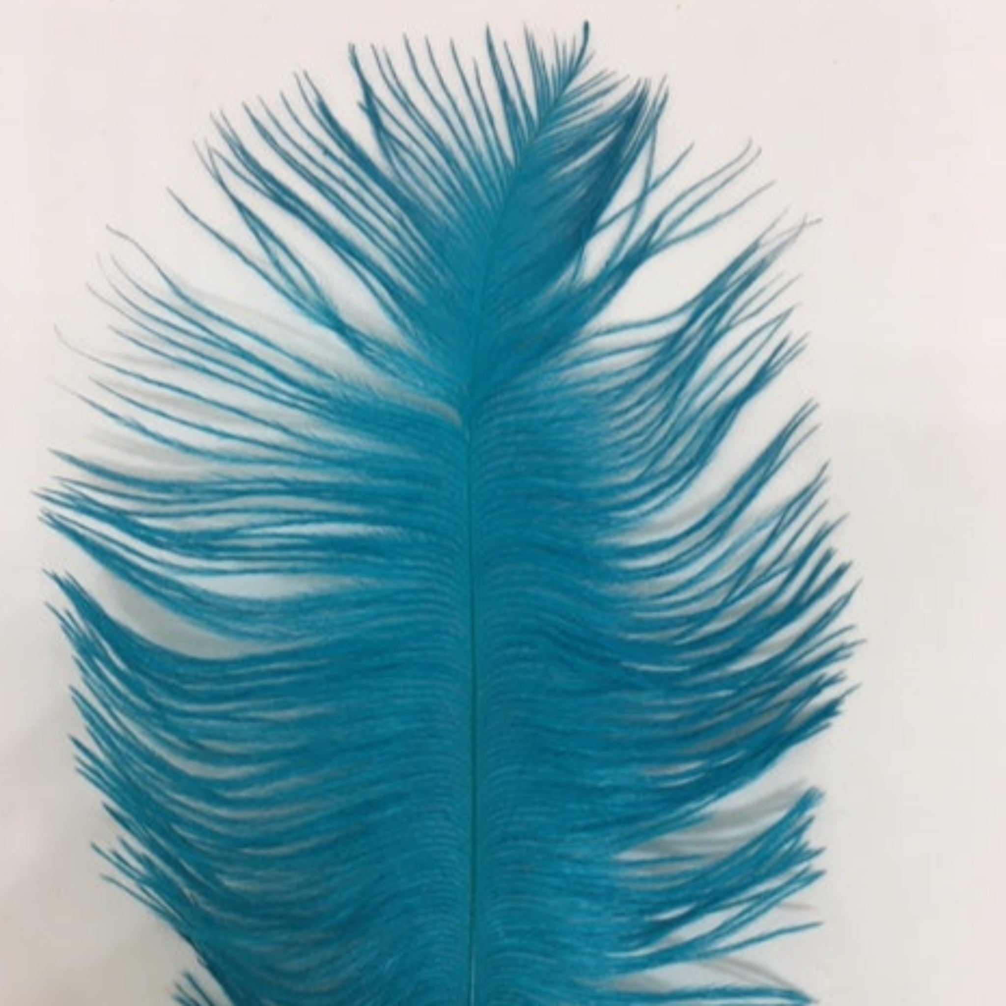 Millinery Supplies Ostrich Blondine Feathers US B Unique