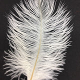 Ostrich Blondine Feather Small - US - B Unique Millinery