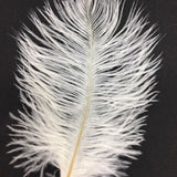 Ostrich Blondine Feather Small white
